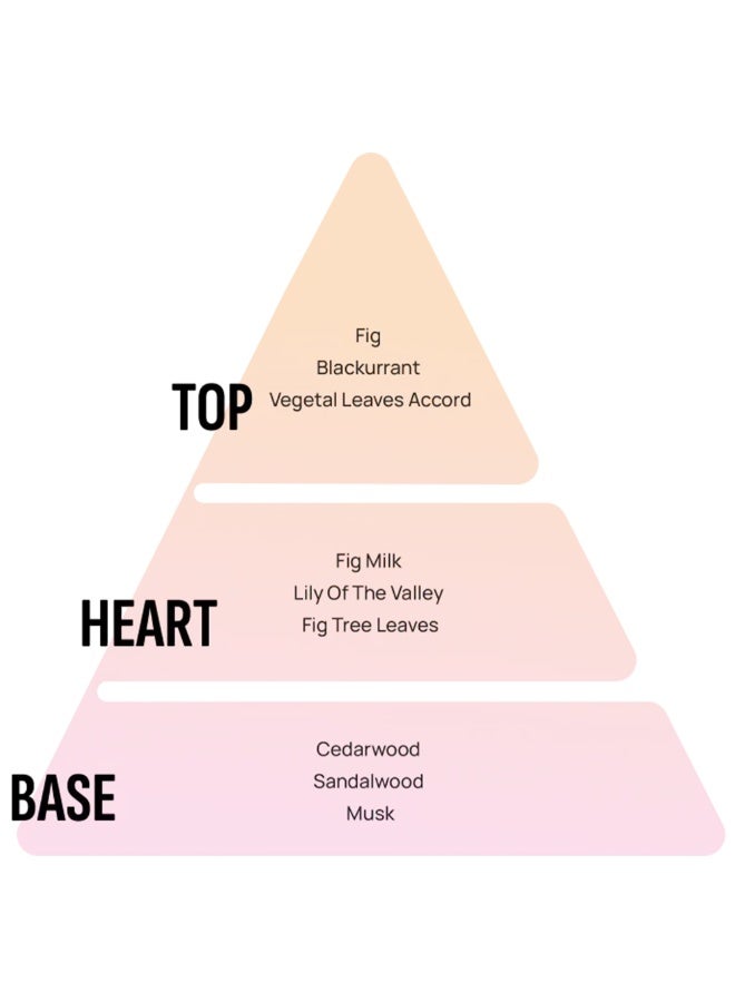 AREON Car Perfumes REFILL SUNNY HOME 260ml - Image 2